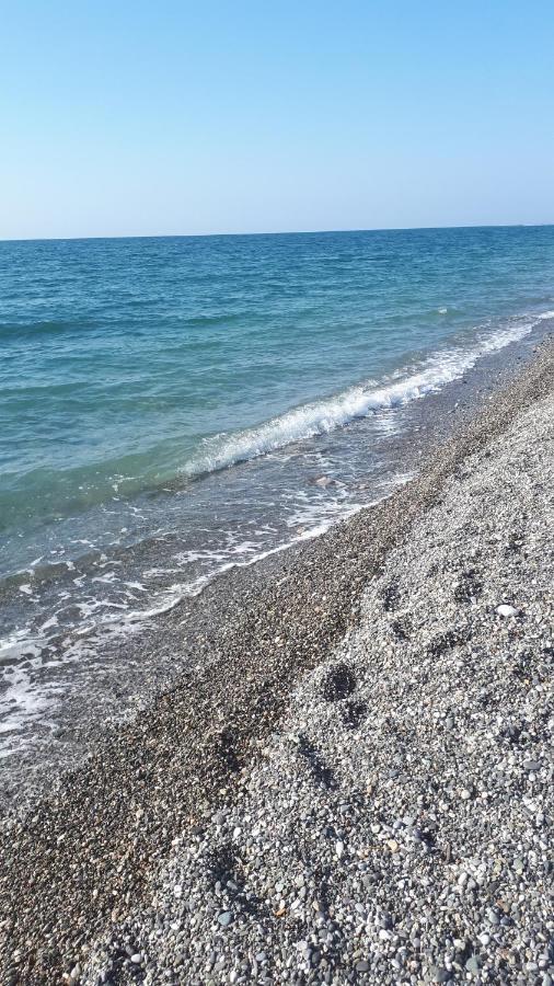 Домики У Лизы Под Ключ Пицунда Экстерьер фото